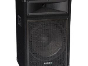 Ibiza Sound STAR15B