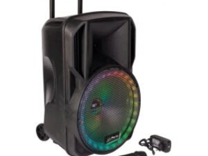 Party Sound PARTY-15RGB Draagbare luidspreker met Bluetooth, Radio en Licht effect / 800 Watt